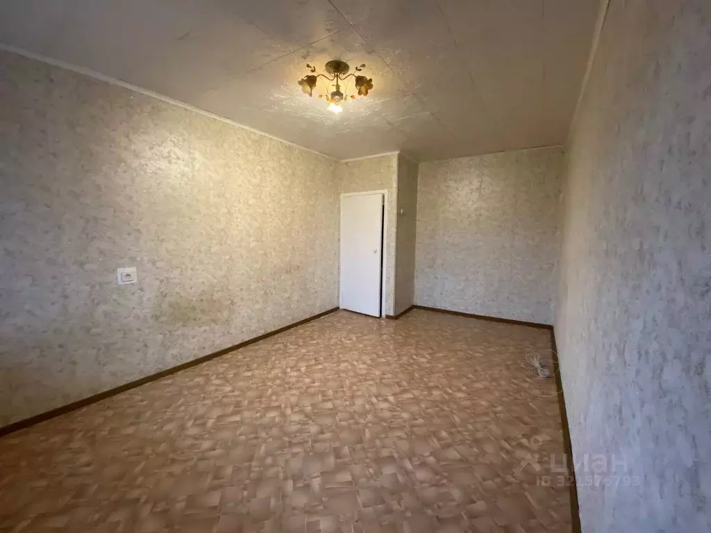 1-к кв. Ульяновская область, Димитровград Гвардейская ул., 38Б (34.0 ... - Фото 2