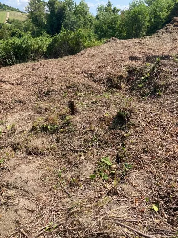 Участок в Краснодарский край, Сочи Надежда-2 СТ,  (5.0 сот.) - Фото 1