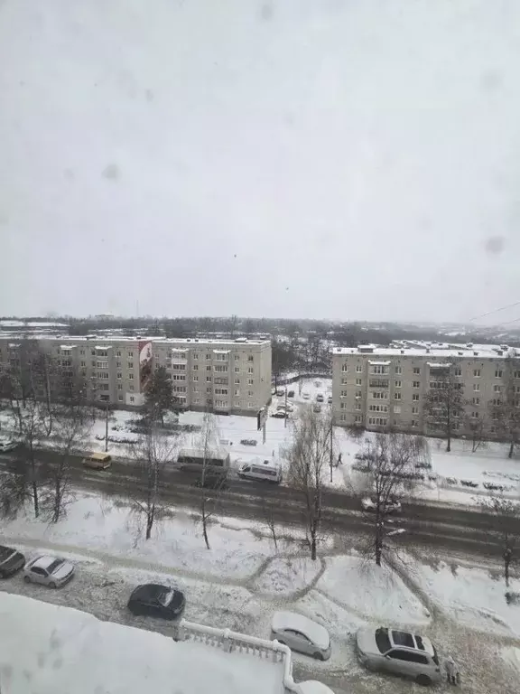 2-к кв. Тульская область, Алексин ул. Ленина, 1 (47.2 м) - Фото 2