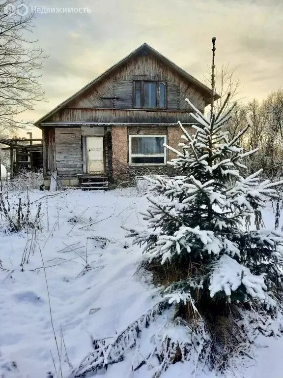 Дом в Новгородская область, Батецкий муниципальный округ, деревня ... - Фото 1