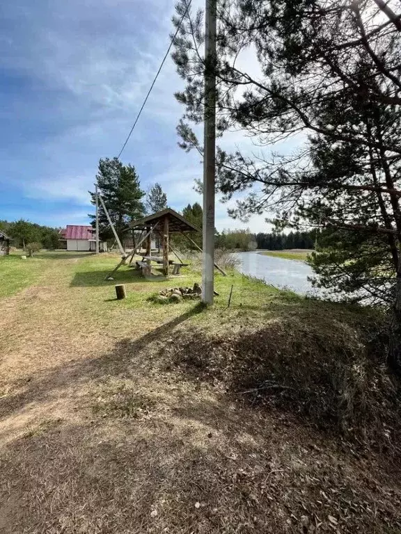 Дом в Тверская область, Осташковский городской округ, д. Уревы  (35 м) - Фото 1