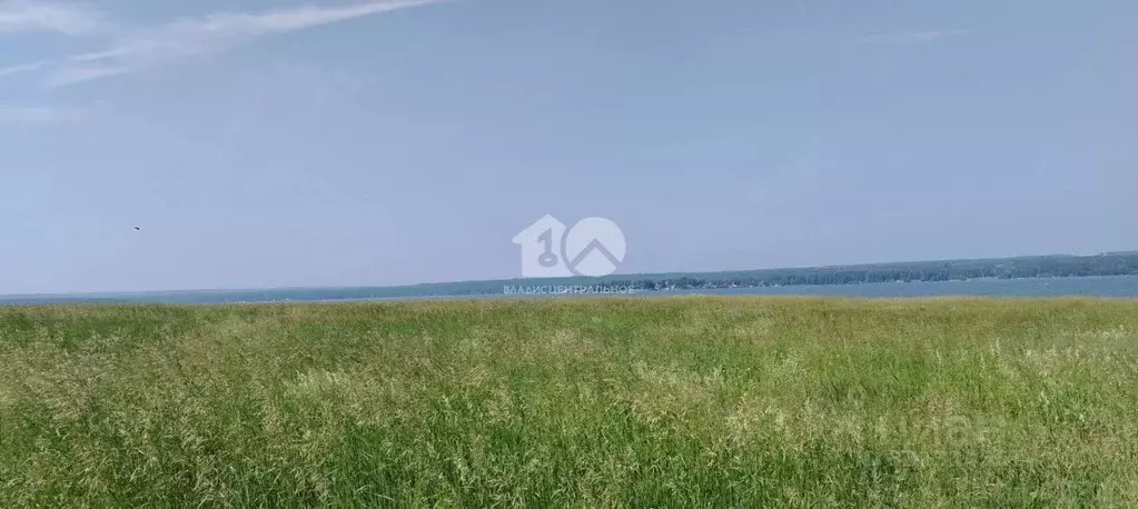 Участок в Новосибирская область, Искитимский район, Мичуринский ... - Фото 1