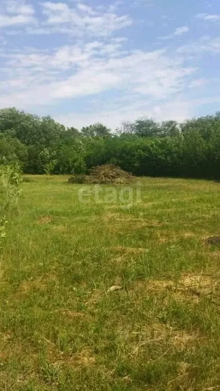 Участок в Ростовская область, Сальский район, Рыбасовское с/пос, Луч ... - Фото 1