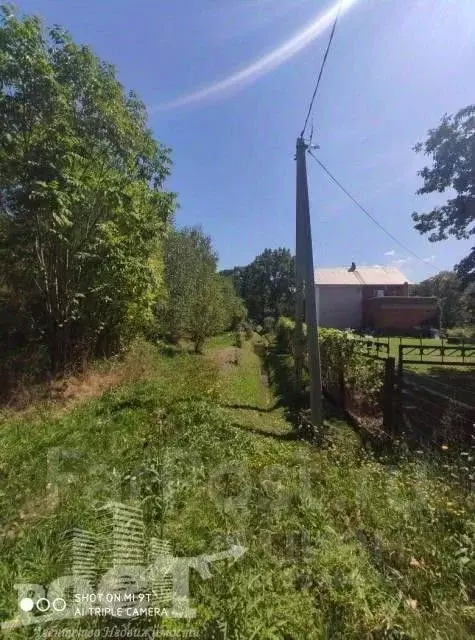 Участок в Приморский край, Артемовский городской округ, с. Суражевка  ... - Фото 1