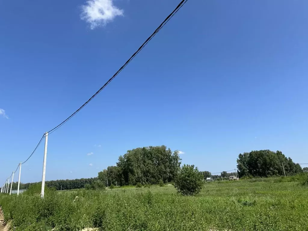 Участок в Новосибирская область, Новосибирский район, Барышевский ... - Фото 1