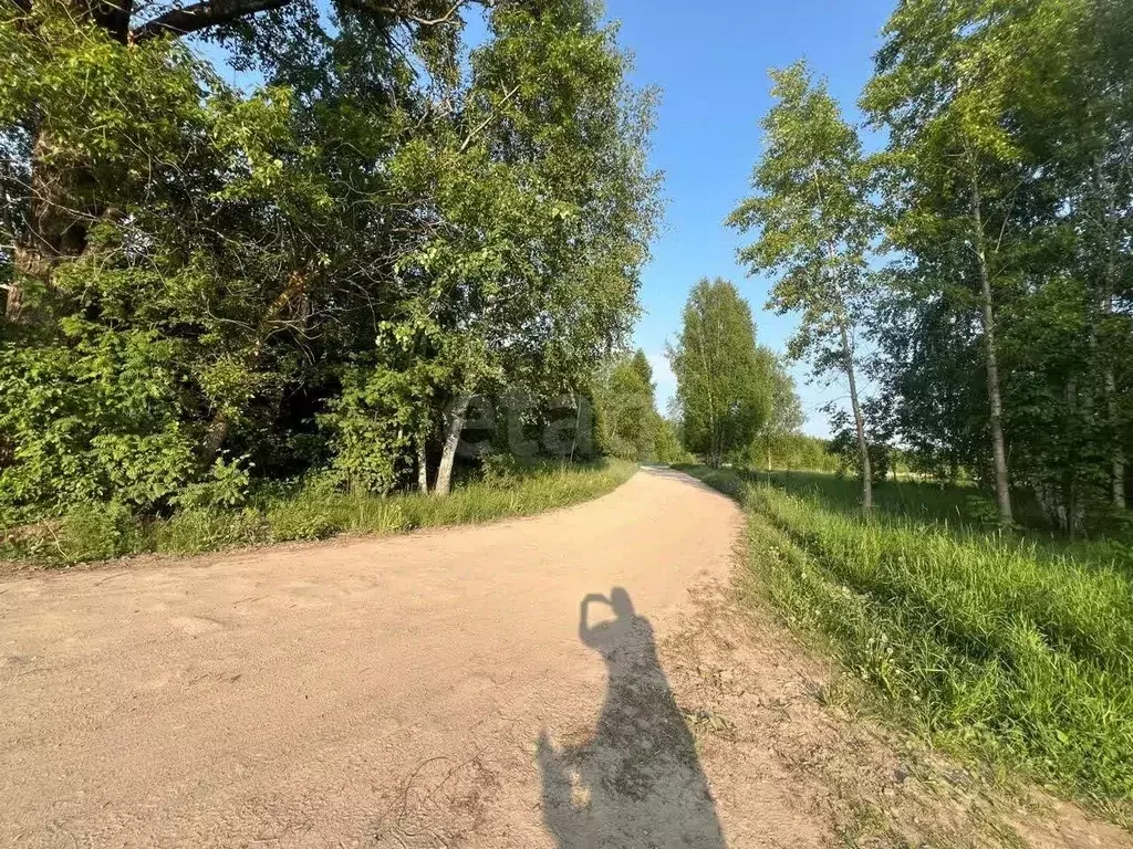 Участок в Костромская область, Красносельский район, Шолоховское ... - Фото 1