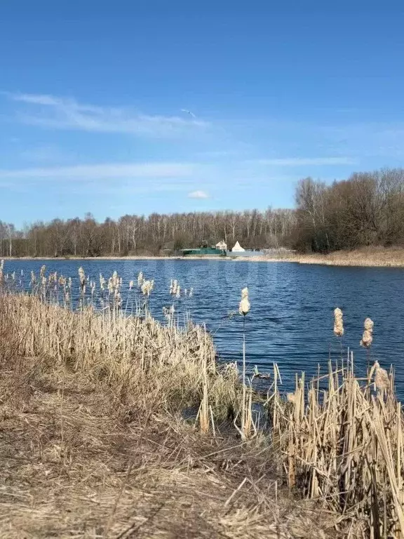 Участок в Тульская область, Щекинский район, Первомайский городское ... - Фото 1