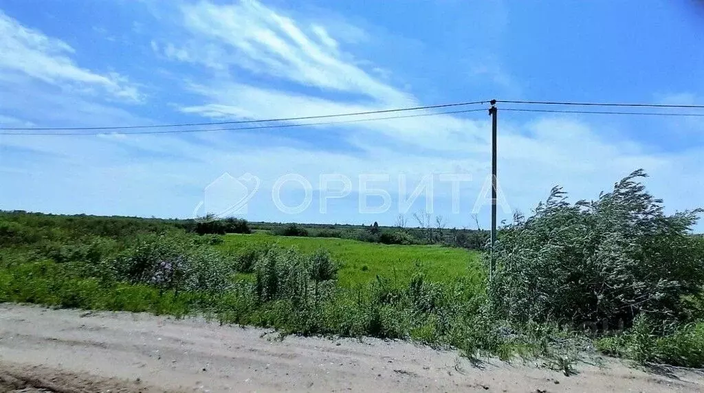 Участок в Тюменская область, Тюменский район, с. Борки  (47.14 сот.) - Фото 1