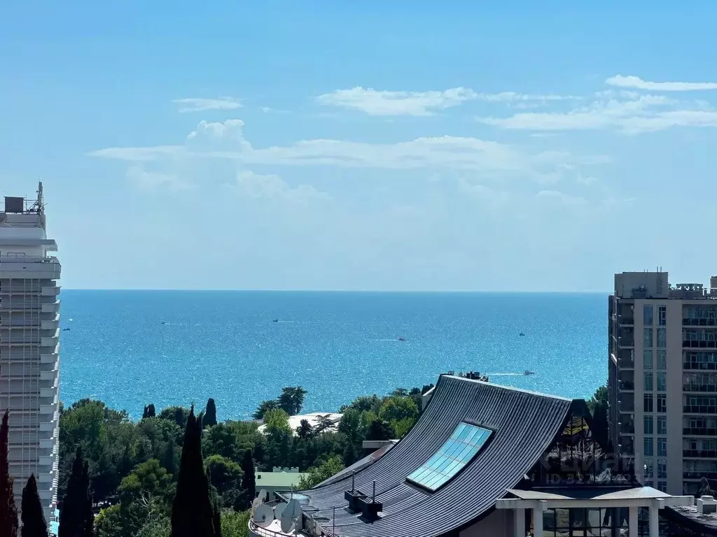 3-к кв. Краснодарский край, Сочи Светлана мкр, ул. Депутатская, 9 ... - Фото 2