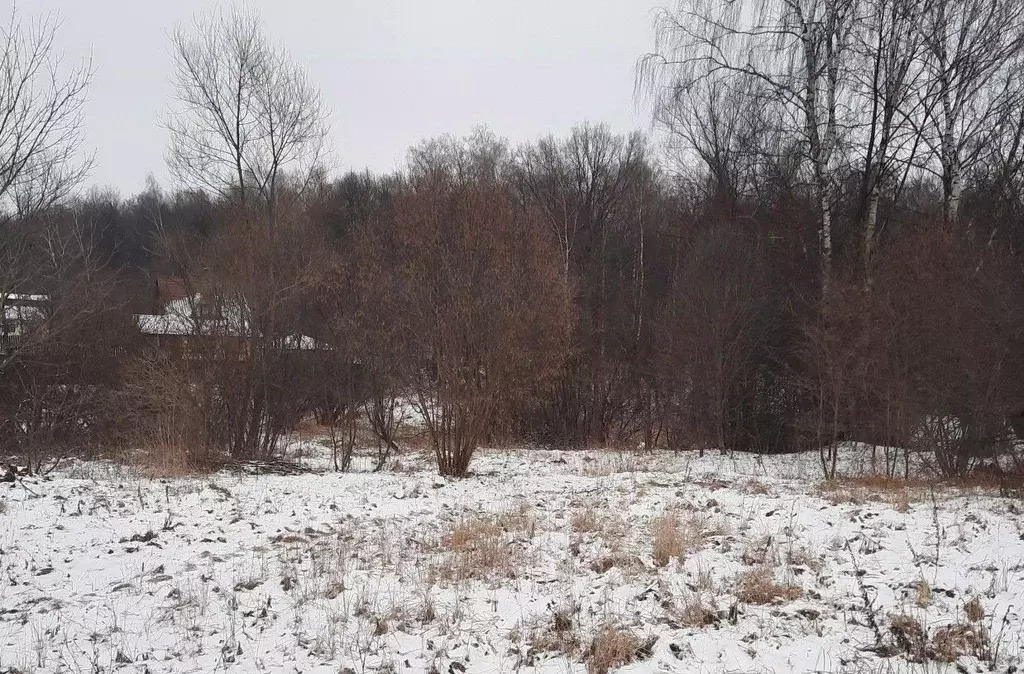 Участок в Московская область, Ступино городской округ, д. Колдино ул. ... - Фото 0