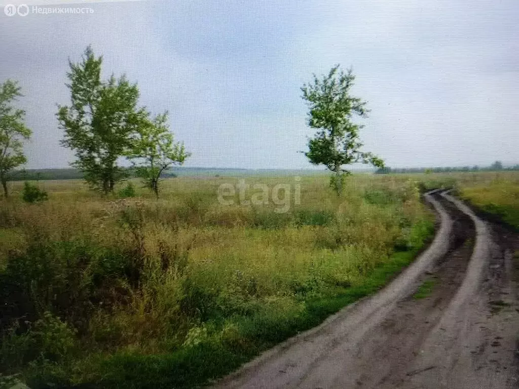 Участок в муниципальное образование Саратов, село Еремеевка, Заречная ... - Фото 2
