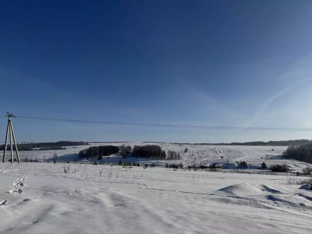 Участок в Татарстан, Зеленодольский район, Бишнинское с/пос, д. ... - Фото 1