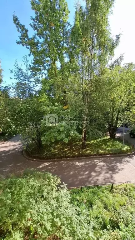 3-к кв. Санкт-Петербург просп. Луначарского, 38 (58.0 м) - Фото 2