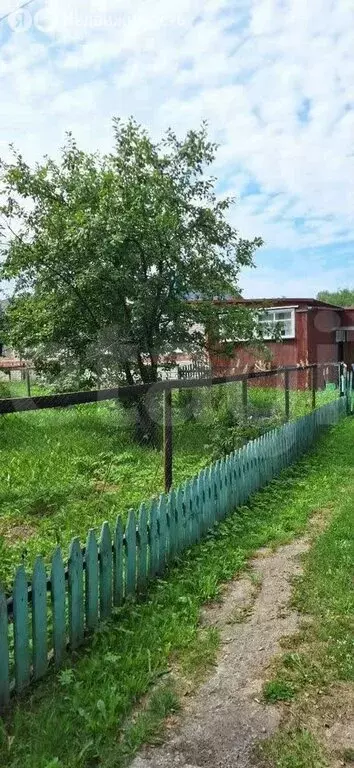 Дом в Ярославский муниципальный округ, деревня Софино (82 м) - Фото 2