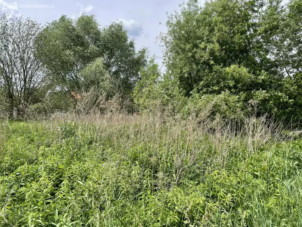 Участок в Раменское, микрорайон Гостица, улица Гостица, 96 (7.85 м) - Фото 2