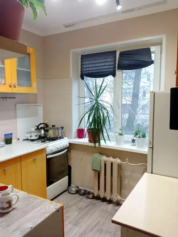 1-к кв. Крым, Керчь ул. Горького, 19 (32.4 м) - Фото 2