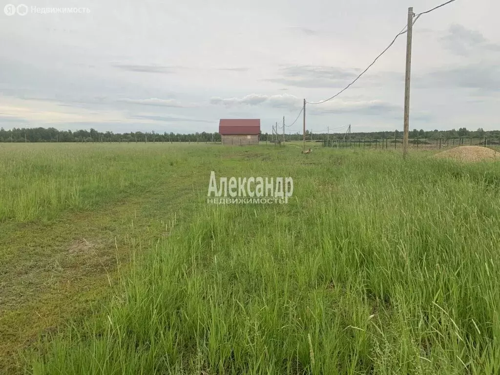 Участок в Оржицкое сельское поселение, коттеджный посёлок Оржицы (14 ... - Фото 1