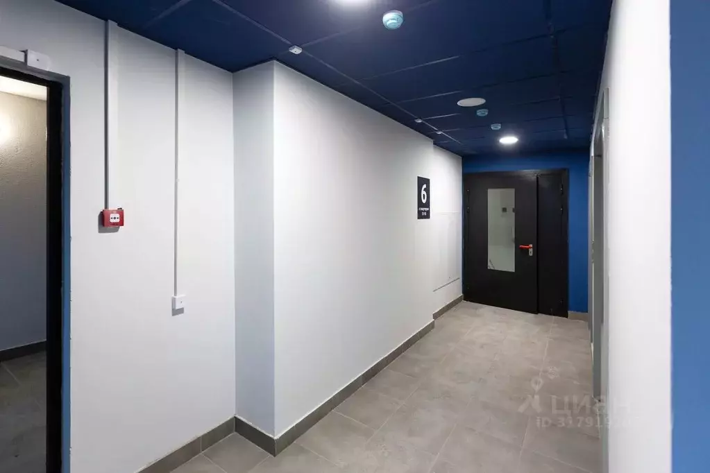 2-к кв. Ленинградская область, Мурино Всеволожский район, ул. Шоссе в ... - Фото 1