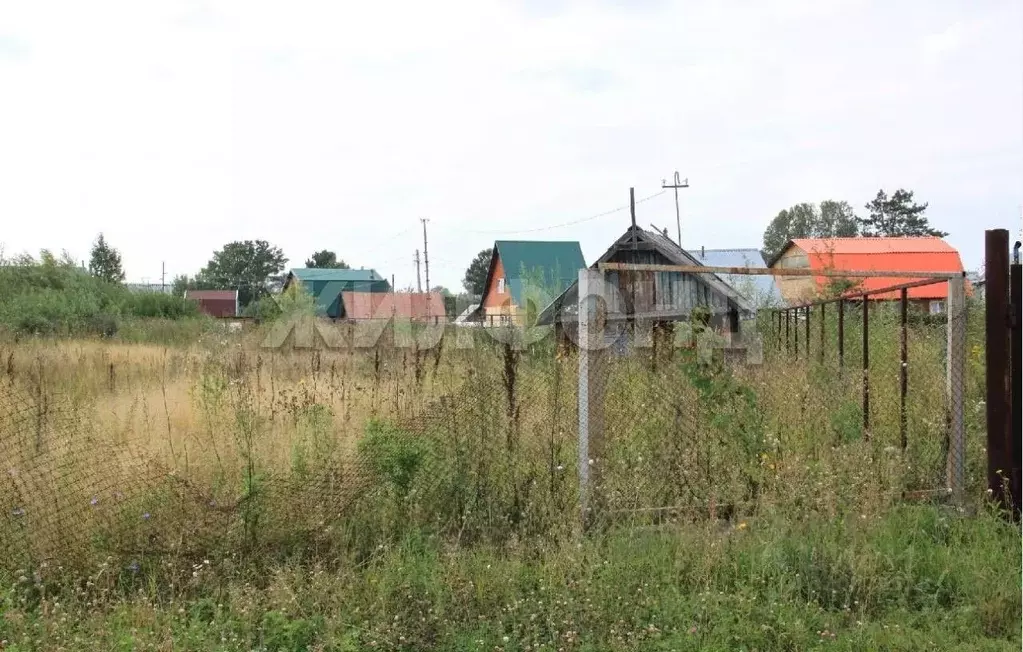 Участок в Новосибирская область, Новосибирск Пенсионер садовое ... - Фото 1