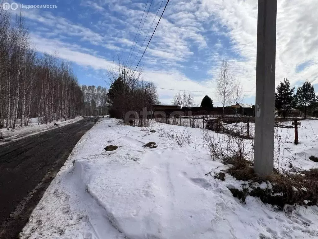 Участок в Бердск, СНТ Ива, 4-я улица (8.5 м) - Фото 1