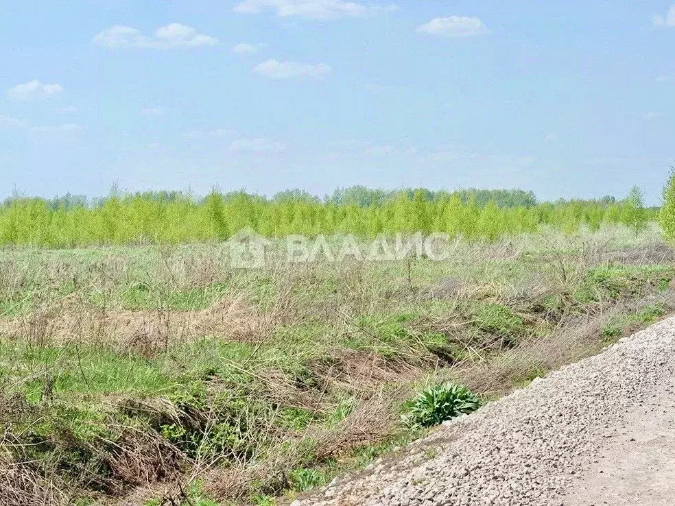 Участок в Татарстан, Казань ул. Романтиков (7.0 сот.) - Фото 0