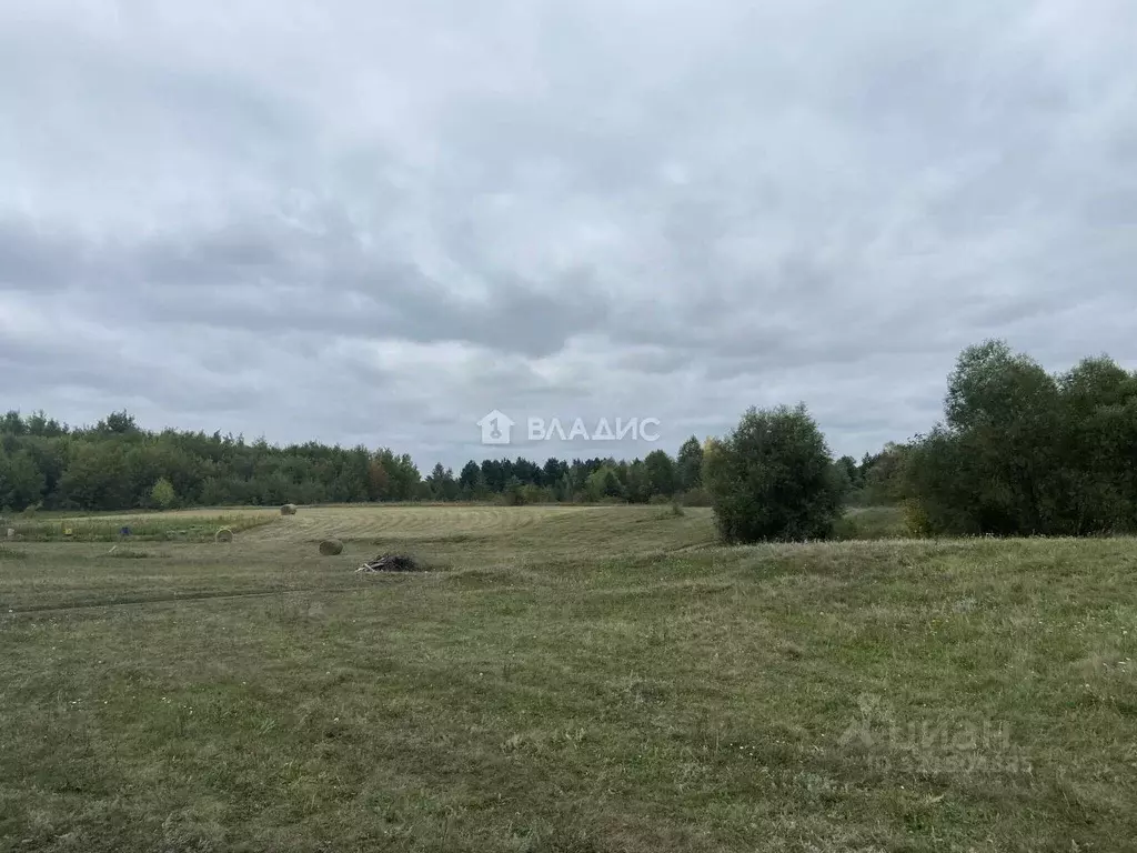 Участок в Белгородская область, Старооскольский городской округ, с. ... - Фото 0