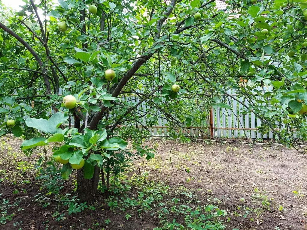 Дом в Самарская область, Самара Студеный Овраг садовое дачное ... - Фото 2