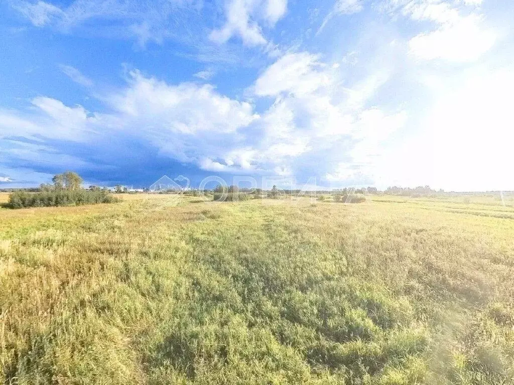 Участок в Тюменская область, Тюменский муниципальный округ, д. ... - Фото 1