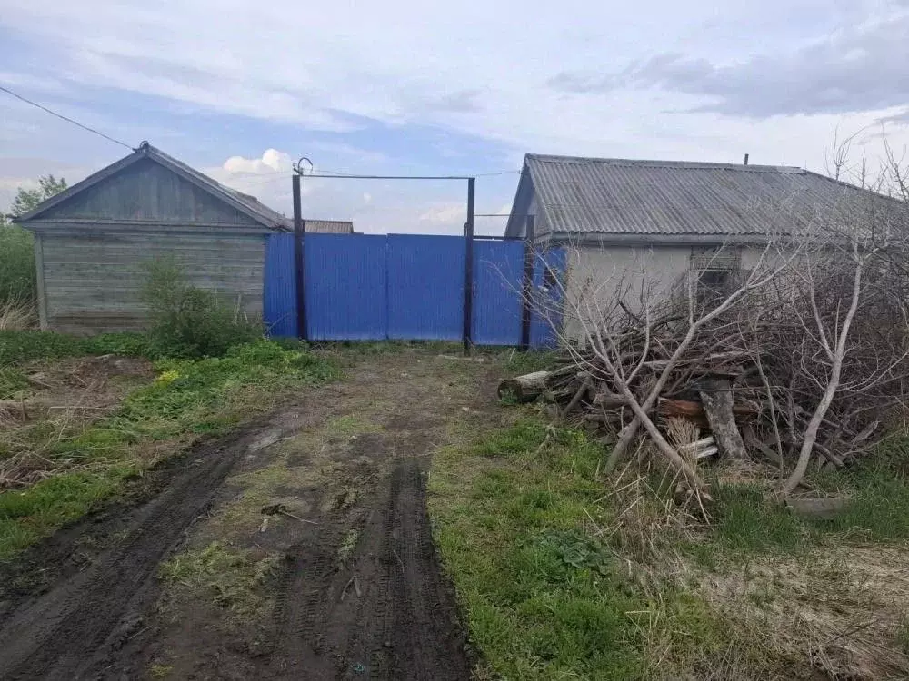 Участок в Омская область, Азовский Немецкий Национальный район, с. ... - Фото 2