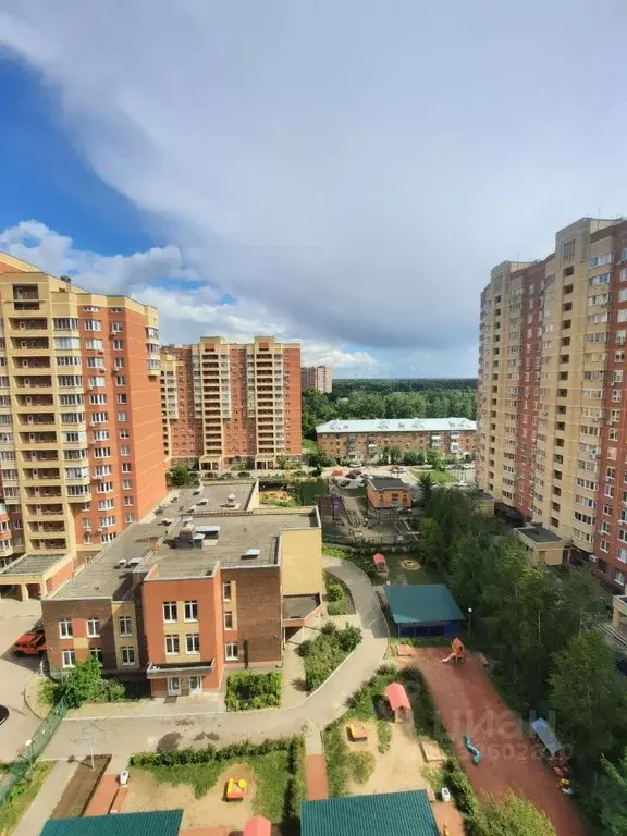 Студия Московская область, Щелково ул. Чкаловская, 4Б (28.8 м) - Фото 1