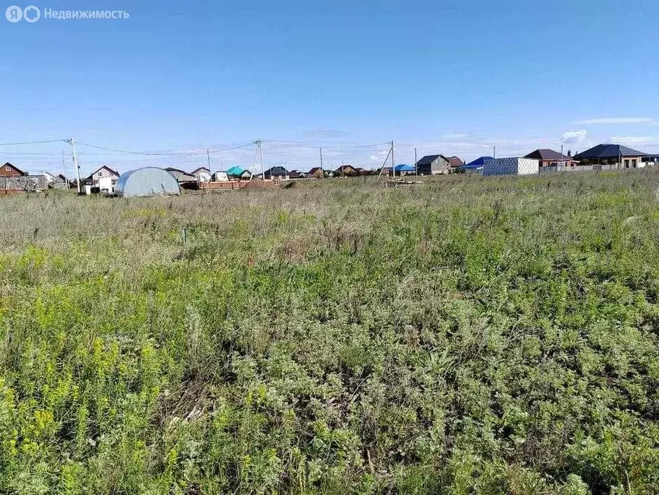 Участок в Бузулукский район, Палимовский сельсовет, село Палимовка (8 ... - Фото 1