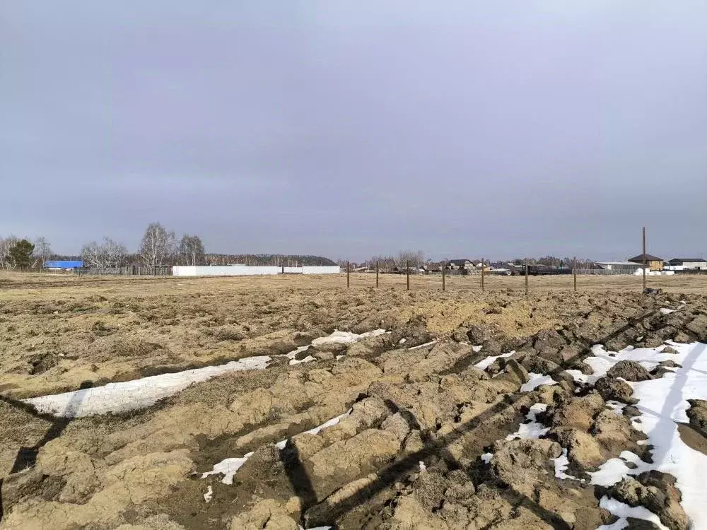 Участок в Иркутская область, Ангарский городской округ, пос. Ударник ... - Фото 2