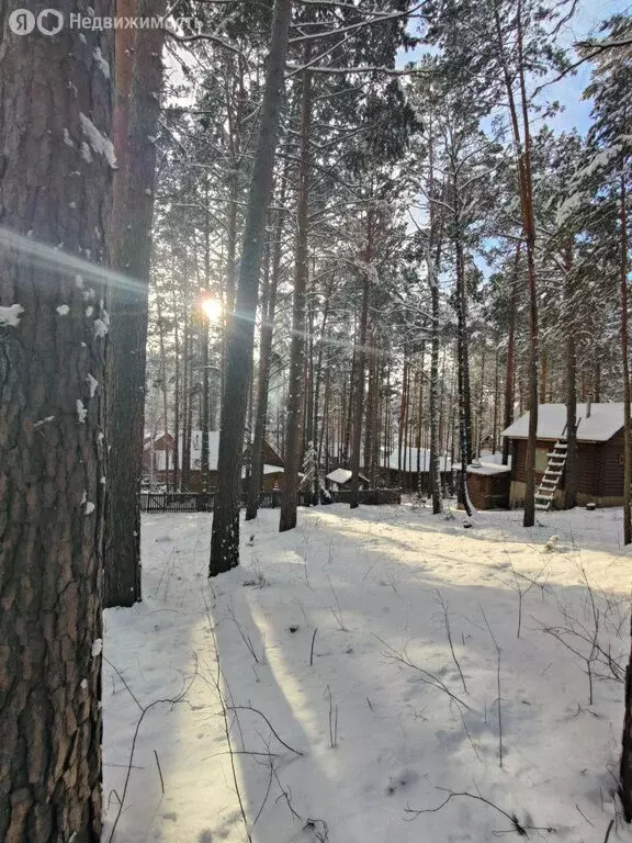 Участок в Красноярск, Лесная улица, 423З (9.6 м) - Фото 1