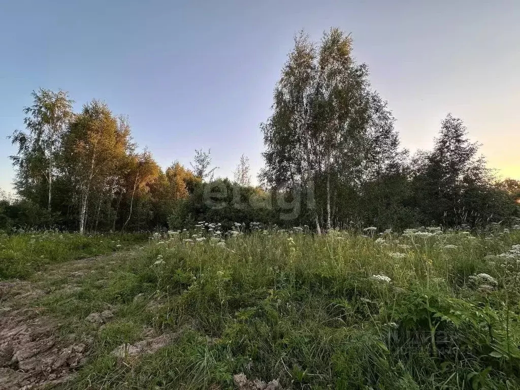 Участок в Московская область, Наро-Фоминский городской округ, д. ... - Фото 0