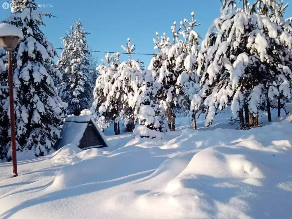 Дом в Выборгский район, Красносельское сельское поселение, ... - Фото 2