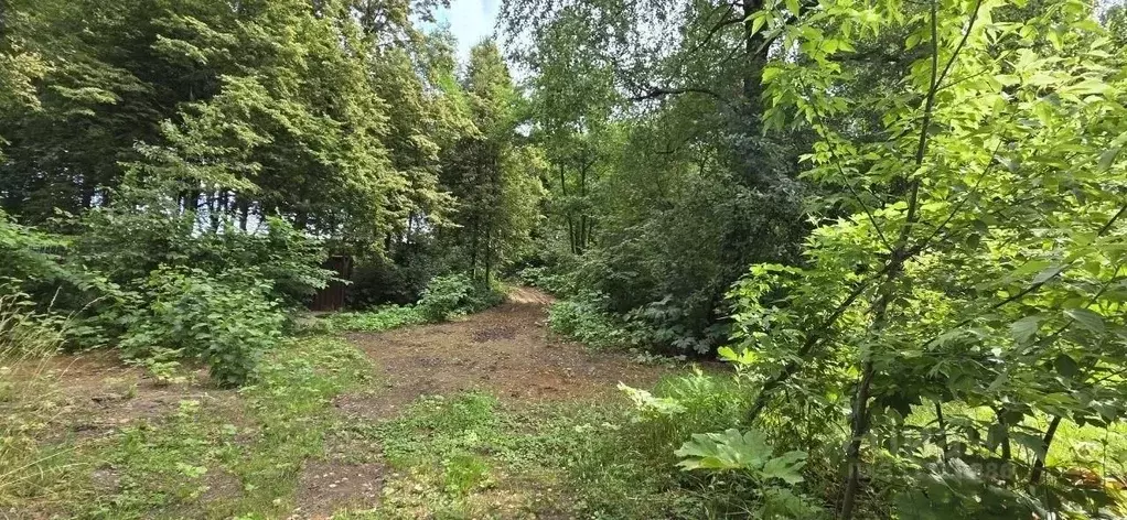 Участок в Москва д. Варварино, ул. Тихая, 8А (25.0 сот.) - Фото 1