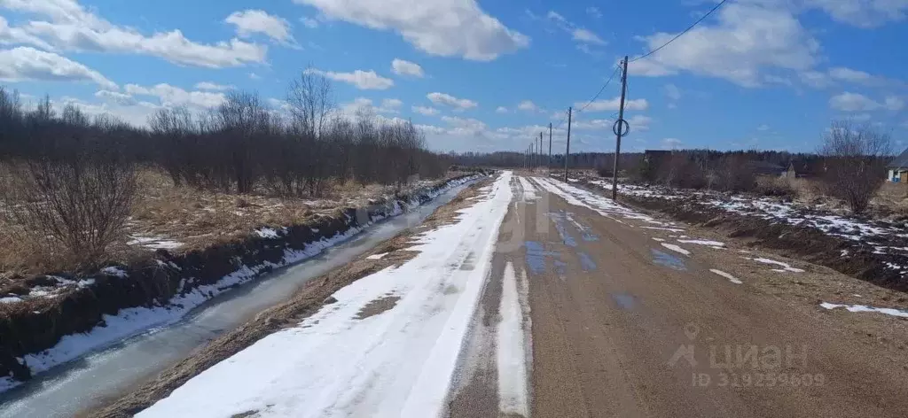 Участок в Вологодская область, Шекснинский муниципальный округ, д. ... - Фото 1