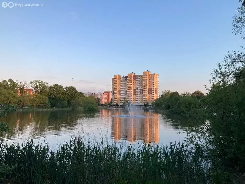1-комнатная квартира: Калининград, улица Генерала Толстикова, 16 (42.6 ... - Фото 1
