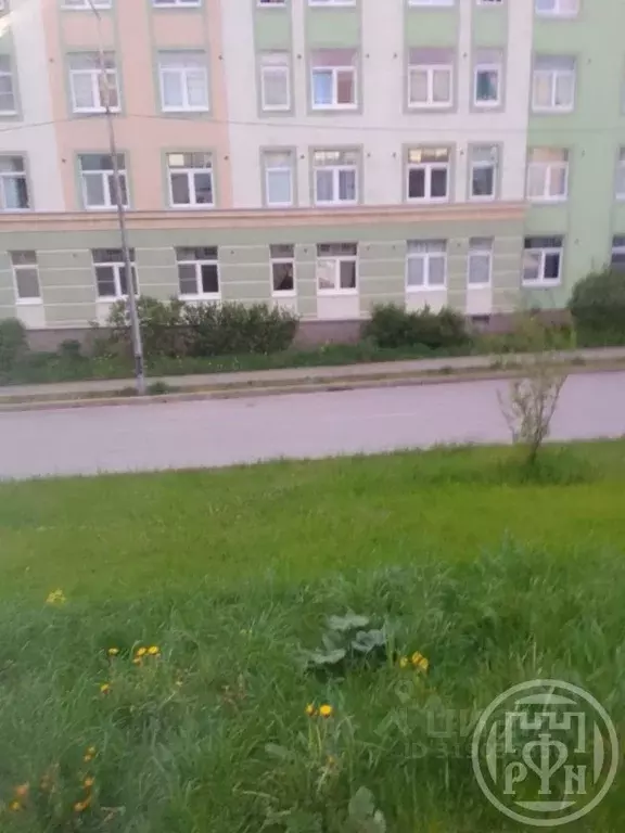 Студия Ленинградская область, Сертолово Всеволожский район, ... - Фото 1