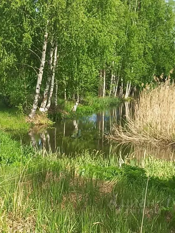 Участок в Нижегородская область, Дальнеконстантиновский муниципальный ... - Фото 2