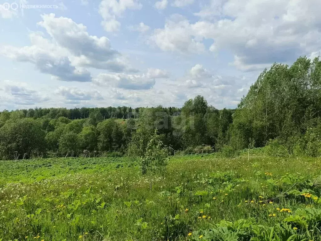 Участок в Республика Коми, муниципальный район Сыктывдинский, село ... - Фото 1