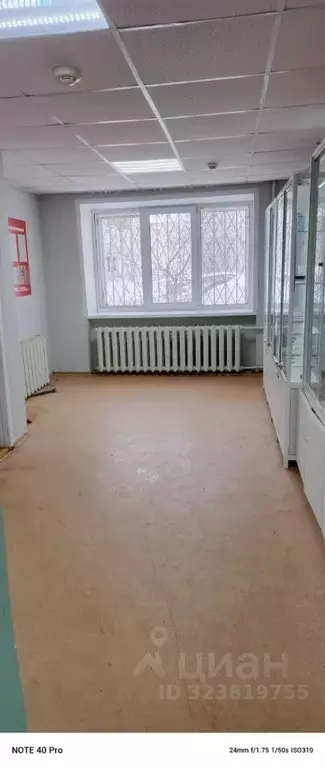 Помещение свободного назначения в Пермский край, Березники ул. Льва ... - Фото 1