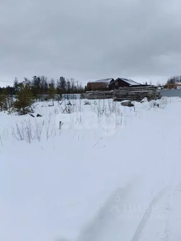 Участок в Ханты-Мансийский АО, Сургут № 47 Лайнер садовое ... - Фото 1