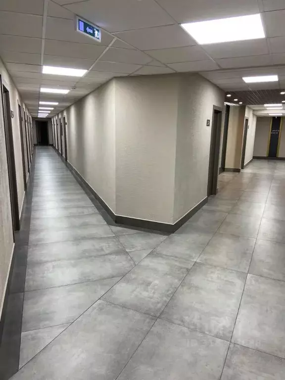 Офис в Санкт-Петербург Домостроительная ул., 16 (800 м) - Фото 0