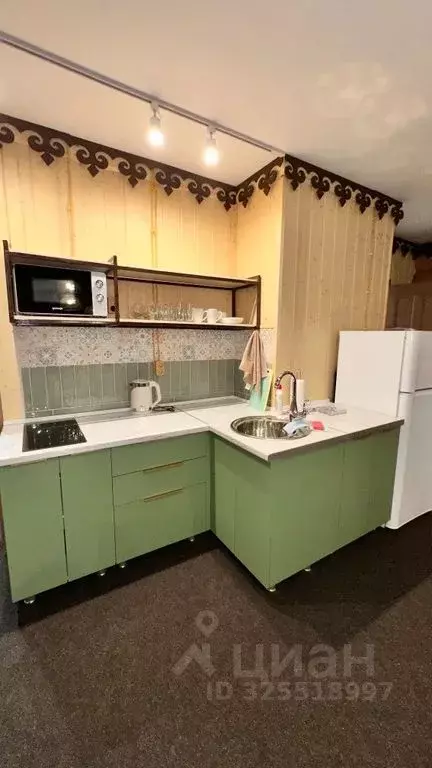 1-к кв. Башкортостан, Мелеузовский район, Нугушевский сельсовет, д. ... - Фото 2