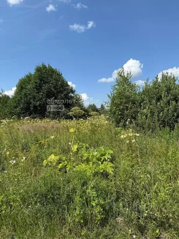 Участок в Московская область, Истра муниципальный округ, д. Еремеево, ... - Фото 2