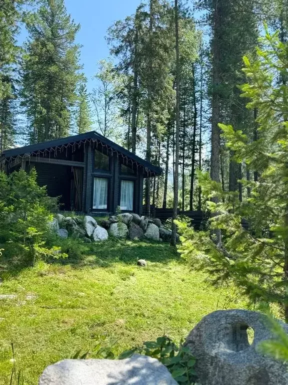 Дом в Алтай, Турочакский район, с. Артыбаш пер. Еловый, 11 (40 м) - Фото 1