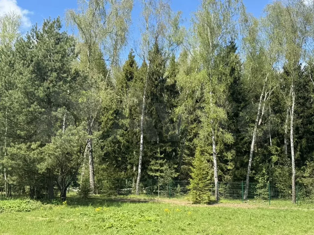 Участок 5,5 сот. (ИЖС) - Фото 1