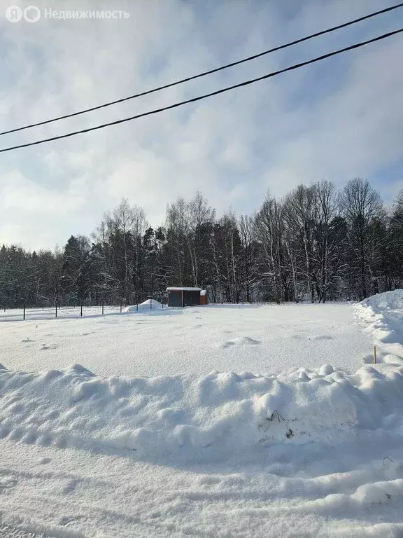 Участок в Московская область, городской округ Щёлково, КП Литвиново ... - Фото 1