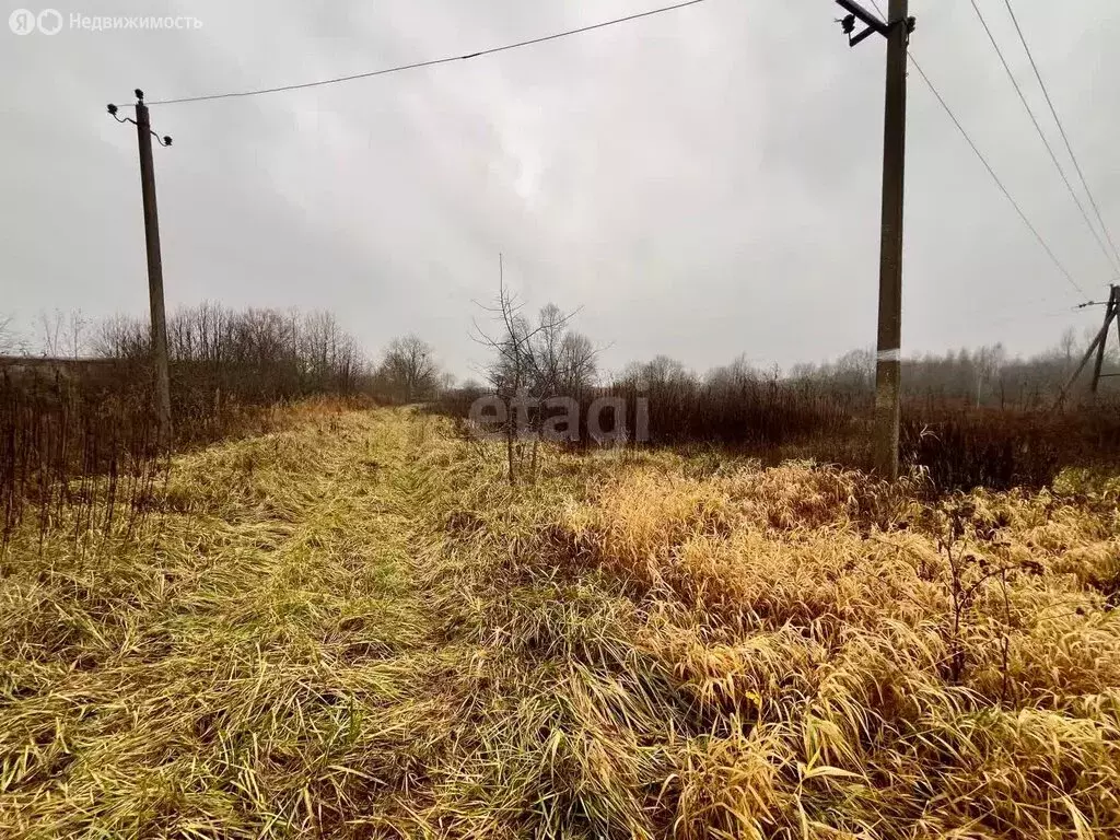 Участок в Калининградская область, Багратионовский муниципальный ... - Фото 0
